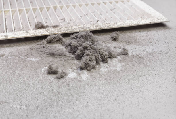 Home Air Vent Cleaning in Leadwood, MO