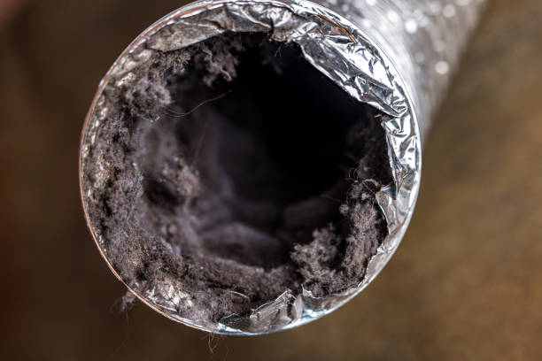 Best Ductwork Cleaning Services  in Leadwood, MO